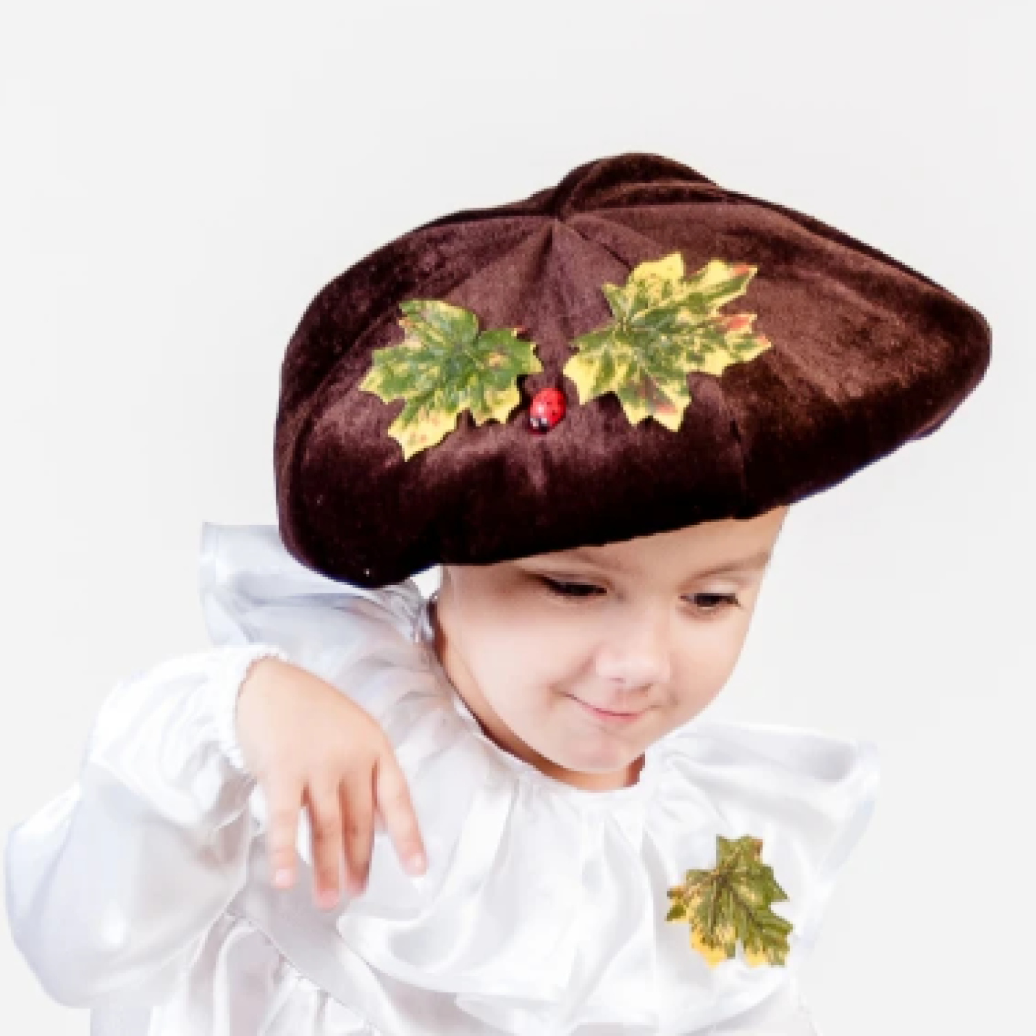 Шапка Гриб Боровик