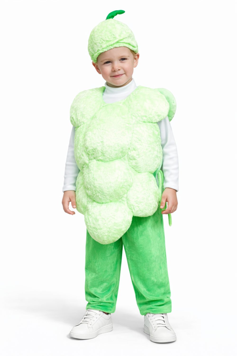 Карнавальный костюм Виноград №1