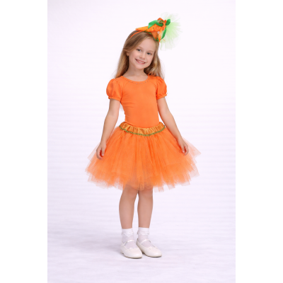 Carnival costume Carrot Mandarin Duck 4