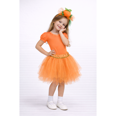 Carnival costume Carrot Mandarin Duck 4