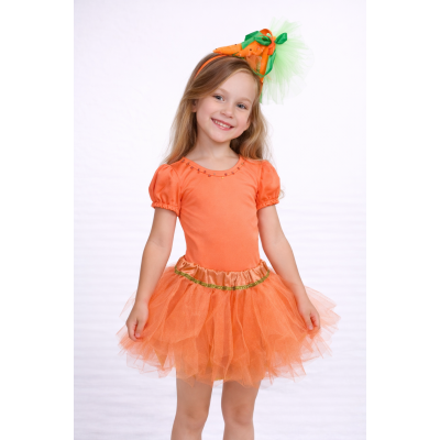 Carnival costume Carrot Mandarin Duck 4