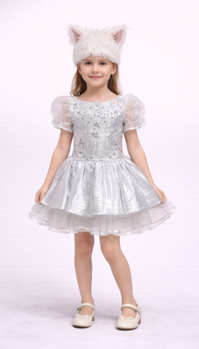 Carnival costume Cat Kitty gray