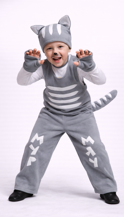 Carnival costume cat # 3