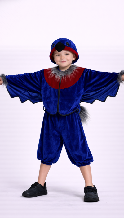Carnival costume Bullfinch No. 8
