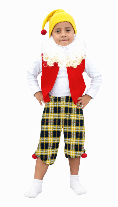 Карнавальний костюм Гном №3.1